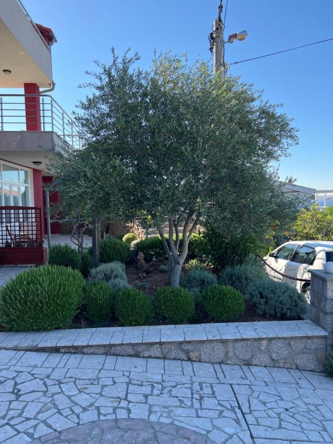 צזריקה Apartments Angela מראה חיצוני תמונה